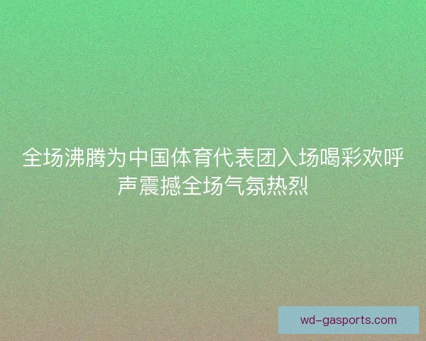 全场沸腾为中国体育代表团入场喝彩欢呼声震撼全场气氛热烈