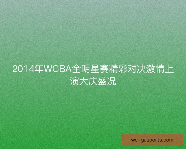 2014年WCBA全明星赛精彩对决激情上演大庆盛况